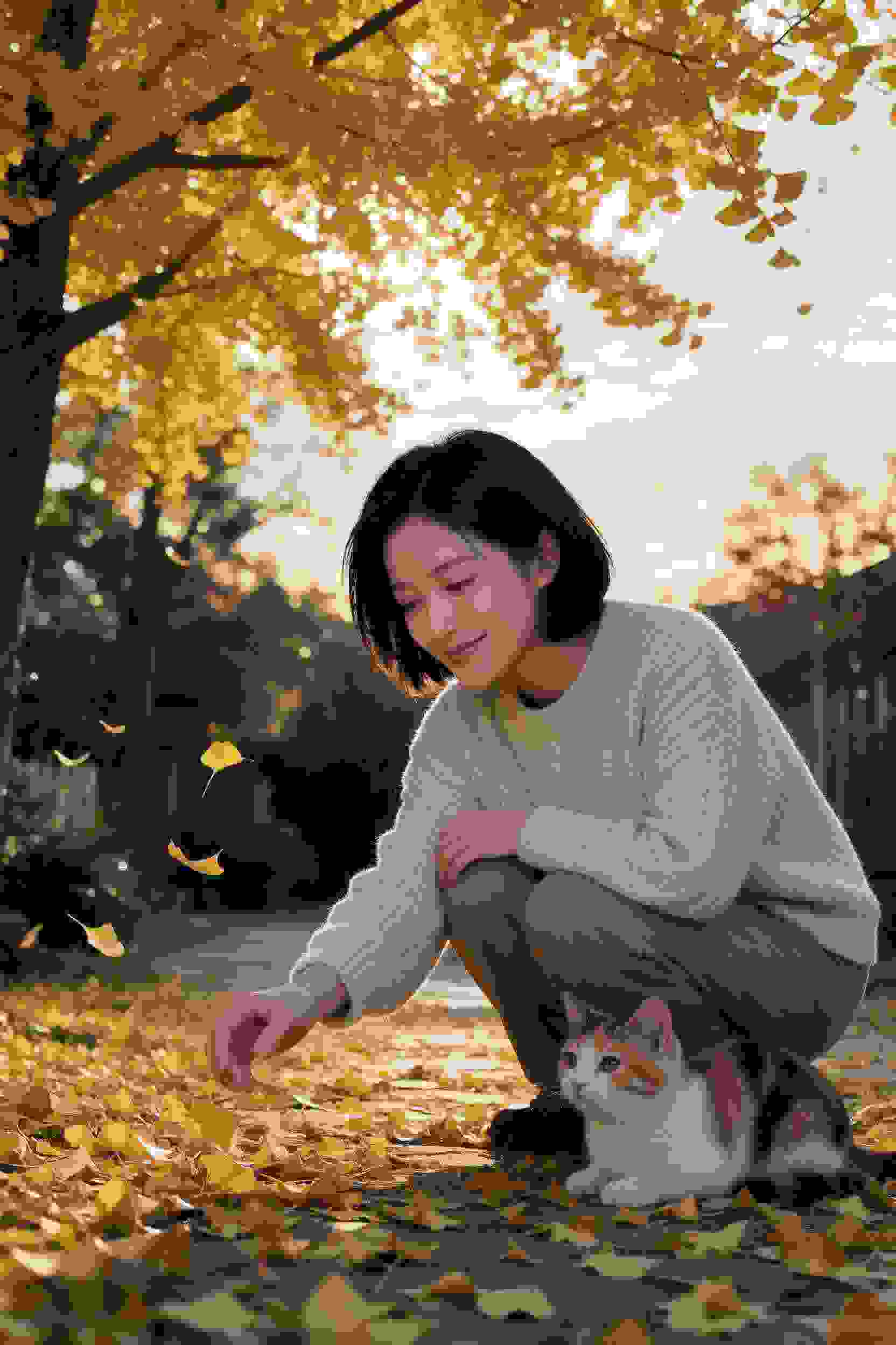 冷少的专属小妖精
